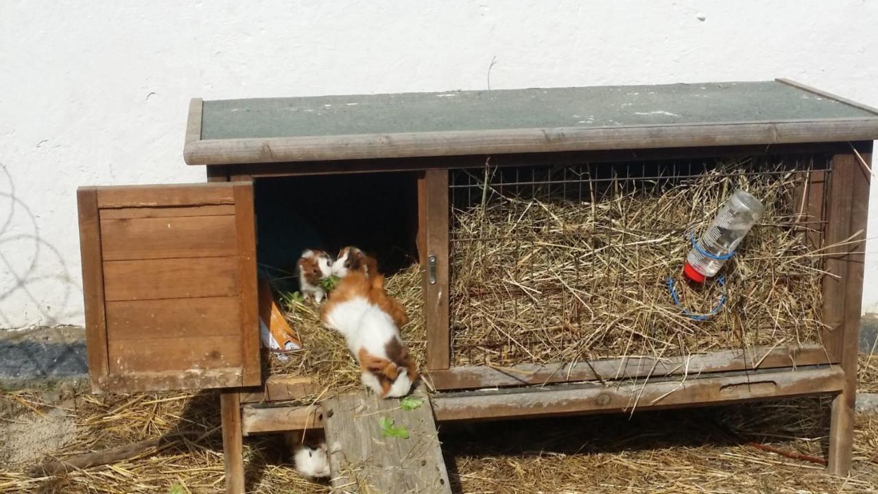 Mobilheim Seezauber Uttendorf Exteriör bild